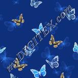 Colour:F