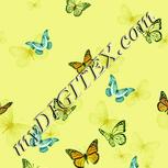 Colour:K
