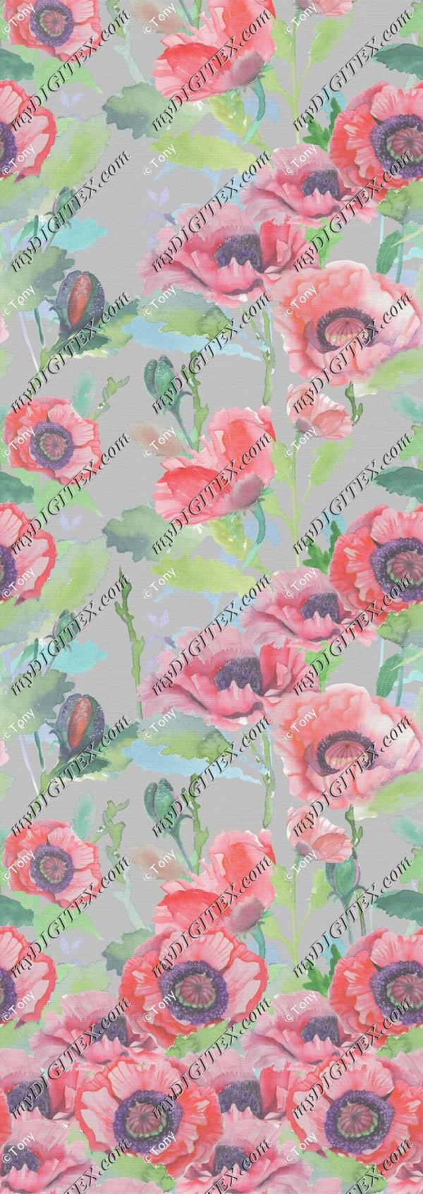 WD165763_Rie_MIO border