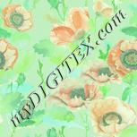 Colour:K