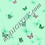 Colour:C