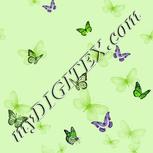 Colour:D