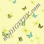Colour:K