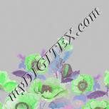Colour:C