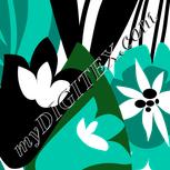 Colour:B