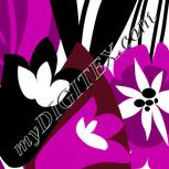 Colour:C