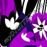 Colour:D