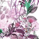 Colour:B
