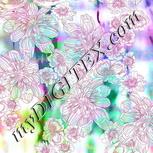 Colour:A