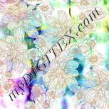 Colour:B
