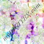 Colour:C
