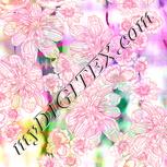 Colour:J