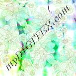 Colour:K