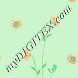 Colour:K