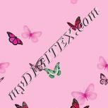 Colour:B