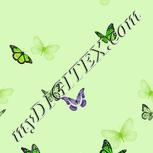 Colour:D