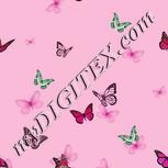Colour:B