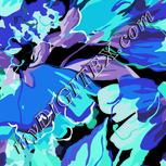 Colour:F