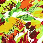 Colour:K