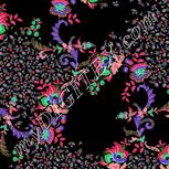 Colour:F