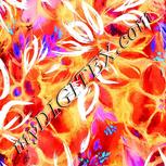 Colour:F