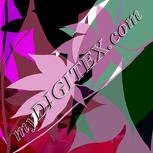 Colour:C