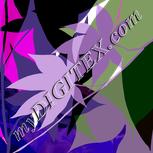 Colour:D