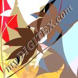 Colour:F