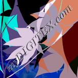 Colour:J