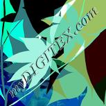 Colour:K