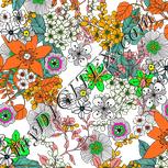 Colour:B