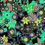 Colour:F