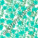 Colour:K