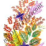 Colour:J
