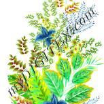 Colour:K