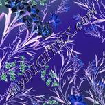 Colour:F