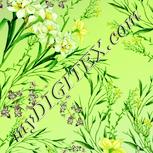 Colour:K