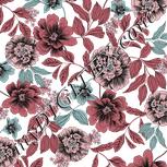 Colour:B