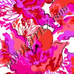 Colour:B