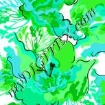 Colour:C