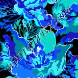 Colour:F