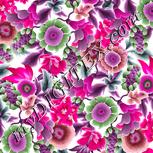 Colour:B