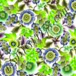 Colour:D