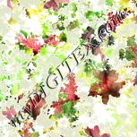 Colour:A
