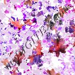 Colour:B