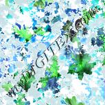 Colour:C