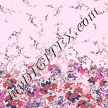 Colour:B