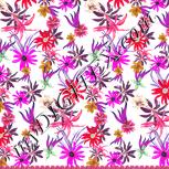 Colour:B