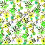 Colour:D