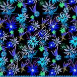 Colour:F
